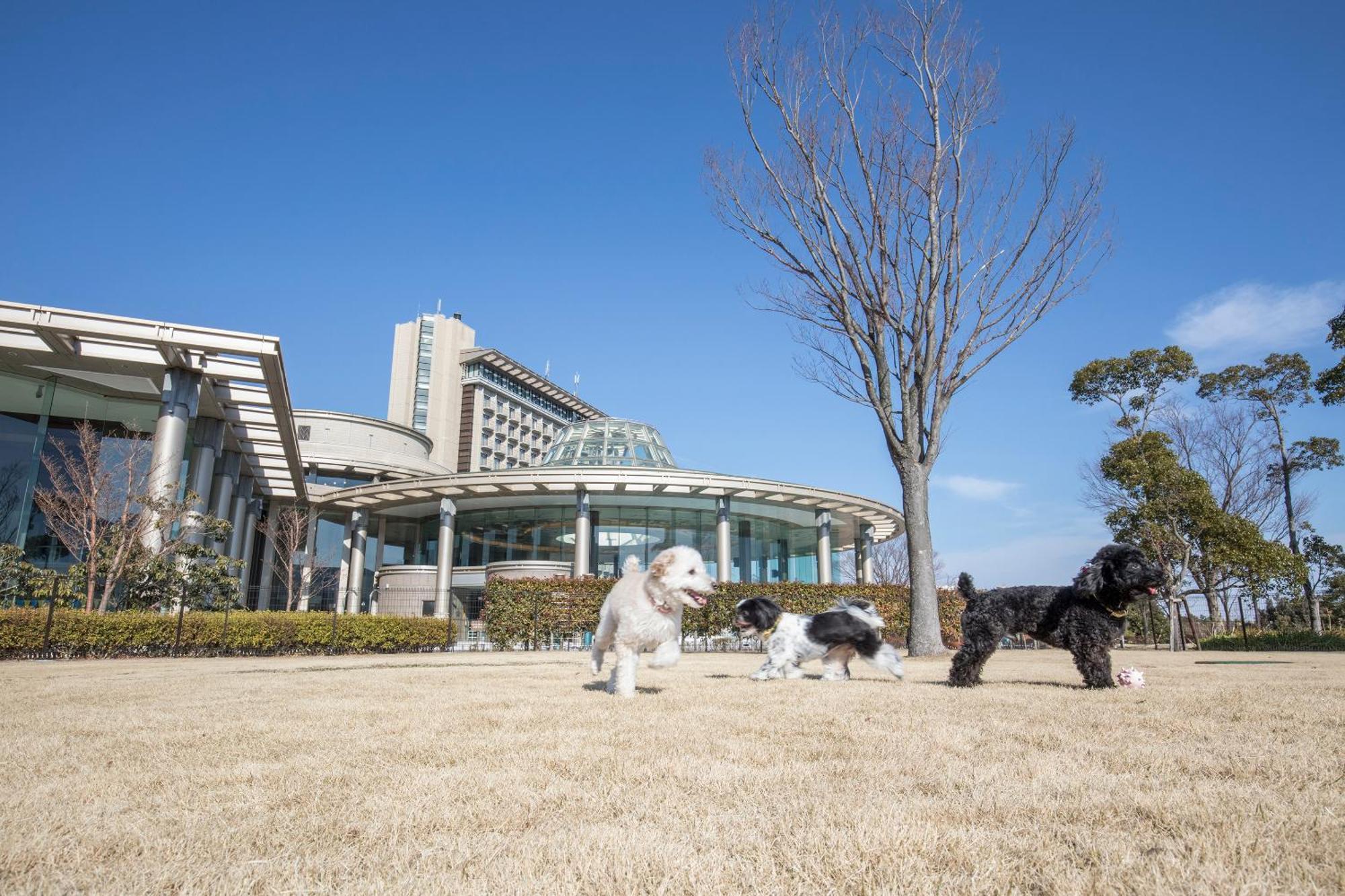 Hilton Odawara Resort & Spa Luaran gambar